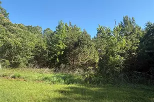 9845 NW 160th St, Reddick, FL 32686 - Photo 8