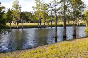 25206 Ormond Ct, Leesburg, FL 34748 - Photo 38