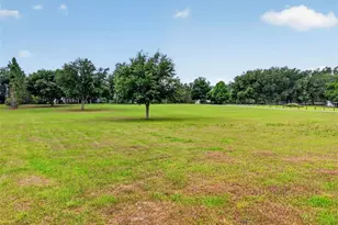 20514 Bill Collins Rd, Eustis, FL 32736 - Photo 60