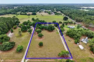 20514 Bill Collins Rd, Eustis, FL 32736 - Photo 66