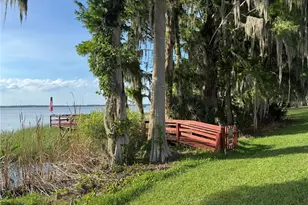 39 Forest Ln, Eustis, FL 32726 - Photo 42