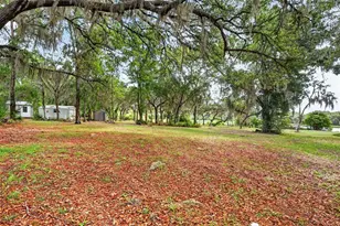 493 Malauka Loop, Ocklawaha, FL 32179 - Photo 54