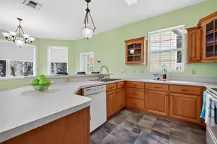 493 Malauka Loop, Ocklawaha, FL 32179 - Photo 14