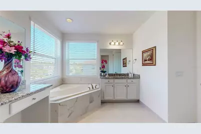 30843 Lindentree Drive, Wesley Chapel, FL 33543 - Photo 44