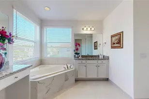30843 Lindentree Dr, Wesley Chapel, FL 33543 - Photo 44