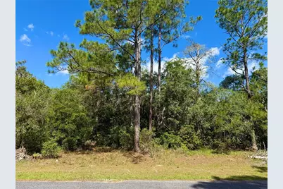 Lot 1 Jericho Trail, Eustis, FL 32736 - Photo 12