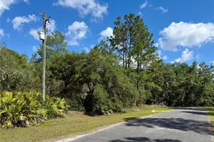 Lot 1 Jericho Trail, Eustis, FL 32736 - Photo 1