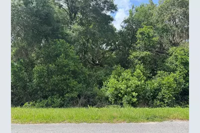 Tbd Keene Road, Altoona, FL 32702 - Photo 1