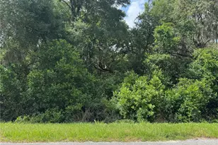 Tbd Keene Rd, Altoona, FL 32702 - Photo 1