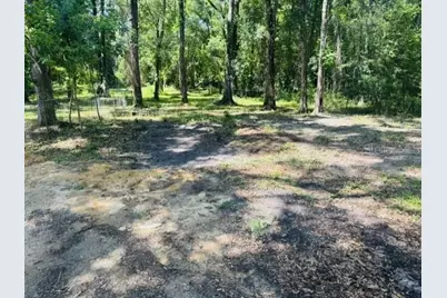 11898 SW 36th Way, Webster, FL 33597 - Photo 38