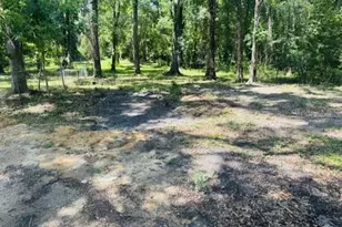 11898 SW 36 Way, Webster, FL 33597 - Photo 38