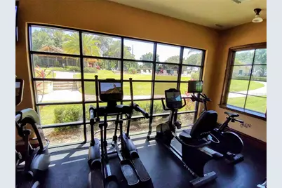 33804 Terragona Drive, Sorrento, FL 32776 - Photo 44