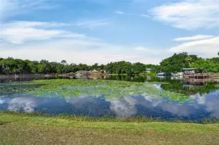 710 Twin Oaks Ln, Eustis, FL 32726 - Photo 68