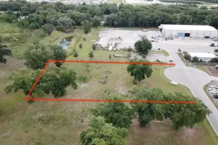 1080 Duck Box Rd, Umatilla, FL 32784 - Photo 1
