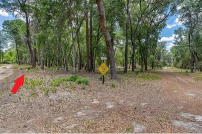 Se 152nd - Lot 17 (Ravenswood Rd) Parcel C Place, Altoona, FL 32702 - Photo 6
