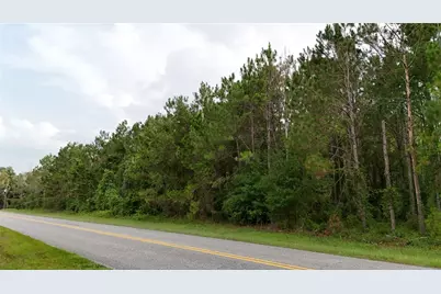 37625 N County Road 44A, Eustis, FL 32726 - Photo 2