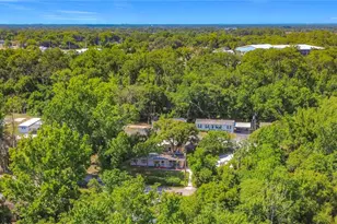 4162 Close Ct, Mount Dora, FL 32757 - Photo 48