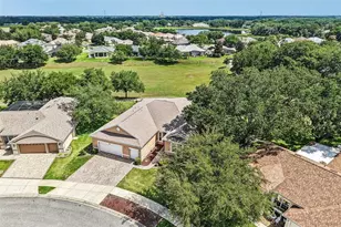 3538 Mulberry Grove Loop, Leesburg, FL 34748 - Photo 56
