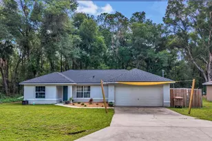 9 Sequoia Loop Ln, Ocklawaha, FL 32179 - Photo 2