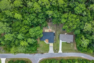 9 Sequoia Loop Ln, Ocklawaha, FL 32179 - Photo 12