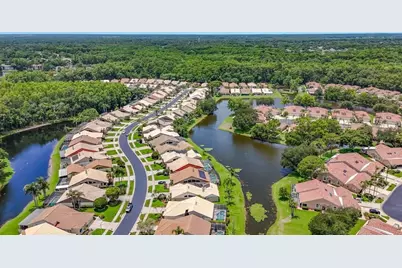 5569 Greyston Street, Palm Harbor, FL 34685 - Photo 48