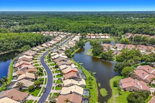 5569 Greyston St, Palm Harbor, FL 34685 - Photo 48