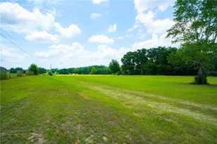 15530 SE 47th Ave, Summerfield, FL 34491 - Photo 4