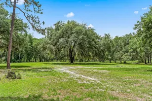 4801 County Rd 575, Bushnell, FL 33513 - Photo 48