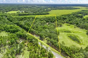 4801 County Rd 575, Bushnell, FL 33513 - Photo 2