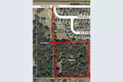 3016 Robie Avenue, Mount Dora, FL 32757 - Photo 1