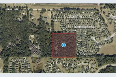 3016 Robie Avenue, Mount Dora, FL 32757 - Photo 2