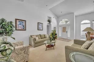 3144 Ibis Hill St, Clermont, FL 34714 - Photo 12