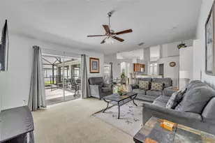 3144 Ibis Hill St, Clermont, FL 34714 - Photo 18