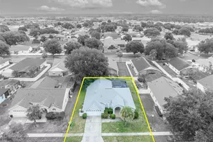 3144 Ibis Hill St, Clermont, FL 34714 - Photo 46