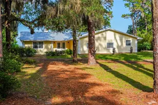 44228 Parkway Ln, Altoona, FL 32702 - Photo 10