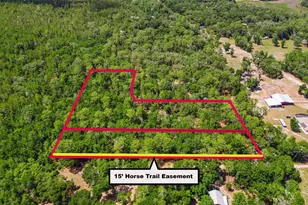 SE 152nd - Parcel B & C Lots 16 17 Pl, Altoona, FL 32702 - Photo 1