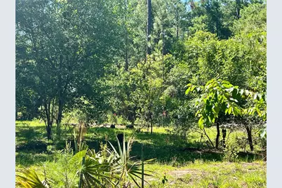 Se 152nd - Parcel B & C, Lots 16, 17 Place, Altoona, FL 32702 - Photo 22