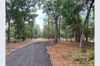 Se 152nd - Parcel B & C, Lots 16, 17 Place, Altoona, FL 32702 - Photo 6