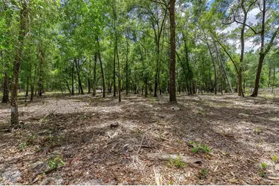 Se 152nd - Parcel B & C, Lots 16, 17 Place, Altoona, FL 32702 - Photo 12
