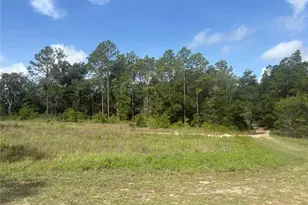 Tbd SW 152 Ct, Ocala, FL 34481 - Photo 1