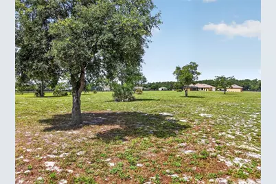 35542 Seneca Reserve Drive, Eustis, FL 32736 - Photo 62
