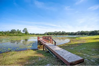 16684 SE 54th Street, Ocklawaha, FL 32179 - Photo 68