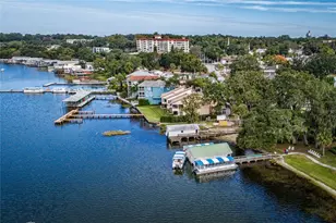 207 Pinecrest Rd, Mount Dora, FL 32757 - Photo 36