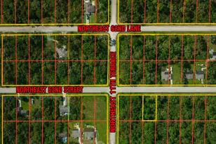 00 NE 62nd St, Williston, FL 32696 - Photo 1