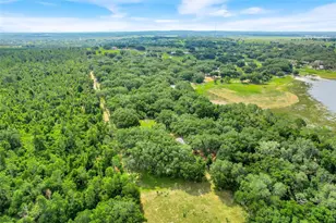 23449 Thomas Allen Rd, Howey in the Hills, FL 34737 - Photo 6