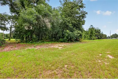 Kilker Road, Paisley, FL 32767 - Photo 6