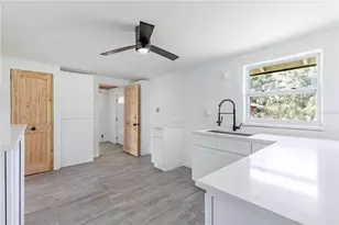 7020 Scott Ave, Mount Dora, FL 32757 - Photo 4