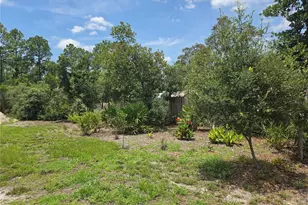 30658 E Bluebell Ave, Eustis, FL 32736 - Photo 42