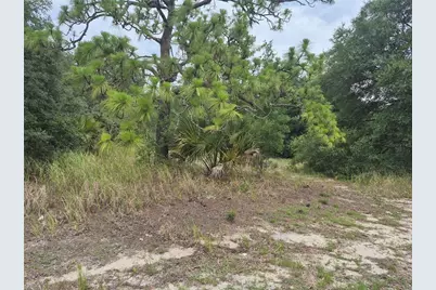 1626 S US 301, Sumterville, FL 33585 - Photo 1