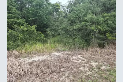 1626 S US 301, Sumterville, FL 33585 - Photo 4